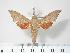  ( - BC-Hax2524)  @14 [ ] Copyright (2010) Unspecified Research Collection of Jean Haxaire