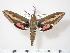  ( - BC-Hax2562)  @14 [ ] Copyright (2010) Unspecified Research Collection of Jean Haxaire