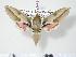  ( - BC-Hax2621)  @13 [ ] Copyright (2010) Unspecified Research Collection of Jean Haxaire
