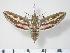  ( - BC-Hax2628)  @13 [ ] Copyright (2010) Unspecified Research Collection of Jean Haxaire