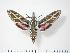  ( - BC-Hax2636)  @12 [ ] Copyright (2010) Unspecified Research Collection of Jean Haxaire