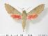  ( - BC-Hax2710)  @14 [ ] Copyright (2010) Unspecified Research Collection of Jean Haxaire