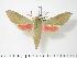  ( - BC-Hax2711)  @14 [ ] Copyright (2010) Unspecified Research Collection of Jean Haxaire