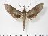  ( - BC-Hax2750)  @14 [ ] Copyright (2010) Unspecified Research Collection of Jean Haxaire