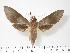  ( - BC-Hax2751)  @14 [ ] Copyright (2010) Unspecified Research Collection of Jean Haxaire