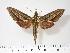  ( - BC-Hax2754)  @14 [ ] Copyright (2010) Unspecified Research Collection of Jean Haxaire