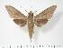  ( - BC-Hax2765)  @14 [ ] Copyright (2010) Unspecified Research Collection of Jean Haxaire