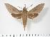  ( - BC-Hax2766)  @14 [ ] Copyright (2010) Unspecified Research Collection of Jean Haxaire