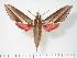  ( - BC-Hax2781)  @14 [ ] Copyright (2010) Unspecified Research Collection of Jean Haxaire