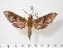  ( - BC-Hax2874)  @14 [ ] Copyright (2010) Unspecified Research Collection of Jean Haxaire