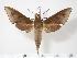  ( - BC-Hax2887)  @14 [ ] Copyright (2010) Unspecified Research Collection of Jean Haxaire