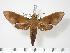  ( - BC-Hax2898)  @14 [ ] Copyright (2010) Unspecified Research Collection of Jean Haxaire