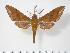  ( - BC-Hax2906)  @14 [ ] Copyright (2010) Unspecified Research Collection of Jean Haxaire