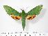  ( - BC-Hax2933)  @14 [ ] Copyright (2010) Unspecified Research Collection of Jean Haxaire