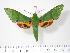  ( - BC-Hax2934)  @14 [ ] Copyright (2010) Unspecified Research Collection of Jean Haxaire