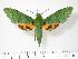  ( - BC-Hax2935)  @14 [ ] Copyright (2010) Unspecified Research Collection of Jean Haxaire