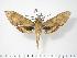  ( - BC-Hax2939)  @14 [ ] Copyright (2010) Unspecified Research Collection of Jean Haxaire