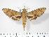  ( - BC-Hax2941)  @14 [ ] Copyright (2010) Unspecified Research Collection of Jean Haxaire
