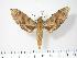  ( - BC-Hax2943)  @14 [ ] Copyright (2010) Unspecified Research Collection of Jean Haxaire