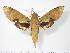  ( - BC-Hax2944)  @14 [ ] Copyright (2010) Unspecified Research Collection of Jean Haxaire