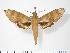  ( - BC-Hax2946)  @14 [ ] Copyright (2010) Unspecified Research Collection of Jean Haxaire