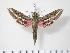  ( - BC-Hax2959)  @14 [ ] Copyright (2010) Unspecified Research Collection of Jean Haxaire