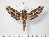  ( - BC-Hax2987)  @14 [ ] Copyright (2010) Unspecified Research Collection of Jean Haxaire