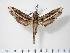  ( - BC-Hax2988)  @13 [ ] Copyright (2010) Unspecified Research Collection of Jean Haxaire