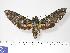  ( - BC-Hax3084)  @14 [ ] Copyright (2010) Unspecified Research Collection of Jean Haxaire