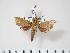  ( - BC-Hax3149)  @14 [ ] Copyright (2010) Unspecified Research Collection of Jean Haxaire