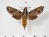  ( - BC-Hax3152)  @14 [ ] Copyright (2010) Unspecified Research Collection of Jean Haxaire