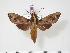  ( - BC-Hax3153)  @14 [ ] Copyright (2010) Unspecified Research Collection of Jean Haxaire