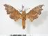  ( - BC-Hax3157)  @14 [ ] Copyright (2010) Unspecified Research Collection of Jean Haxaire