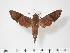  ( - BC-Hax3161)  @14 [ ] Copyright (2010) Unspecified Research Collection of Jean Haxaire