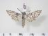  ( - BC-Hax3195)  @14 [ ] Copyright (2010) Unspecified Research Collection of Jean Haxaire