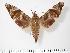  ( - BC-Hax3304)  @14 [ ] Copyright (2010) Unspecified Research Collection of Jean Haxaire