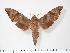  ( - BC-Hax3306)  @14 [ ] Copyright (2010) Unspecified Research Collection of Jean Haxaire