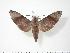  ( - BC-Hax3317)  @14 [ ] Copyright (2010) Unspecified Research Collection of Jean Haxaire