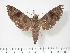  ( - BC-Hax3348)  @13 [ ] Copyright (2010) Unspecified Research Collection of Jean Haxaire