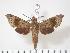  ( - BC-Hax3372)  @14 [ ] Copyright (2010) Unspecified Research Collection of Jean Haxaire