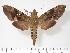  ( - BC-Hax3408)  @14 [ ] Copyright (2010) Unspecified Research Collection of Jean Haxaire