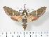  ( - BC-Hax3432)  @15 [ ] Copyright (2010) Unspecified Research Collection of Jean Haxaire