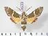  ( - BC-Hax3434)  @14 [ ] Copyright (2010) Unspecified Research Collection of Jean Haxaire