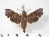  ( - BC-Hax3454)  @14 [ ] Copyright (2010) Unspecified Research Collection of Jean Haxaire