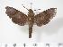  ( - BC-Hax3456)  @14 [ ] Copyright (2010) Unspecified Research Collection of Jean Haxaire