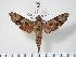  ( - BC-Hax3471)  @14 [ ] Copyright (2010) Unspecified Research Collection of Jean Haxaire