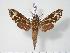  ( - BC-Hax3476)  @14 [ ] Copyright (2010) Unspecified Research Collection of Jean Haxaire