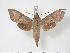  ( - BC-Hax3485)  @14 [ ] Copyright (2010) Unspecified Research Collection of Jean Haxaire