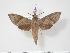  ( - BC-Hax3487)  @13 [ ] Copyright (2010) Unspecified Research Collection of Jean Haxaire