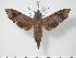  ( - BC-Hax3488)  @13 [ ] Copyright (2010) Unspecified Research Collection of Jean Haxaire